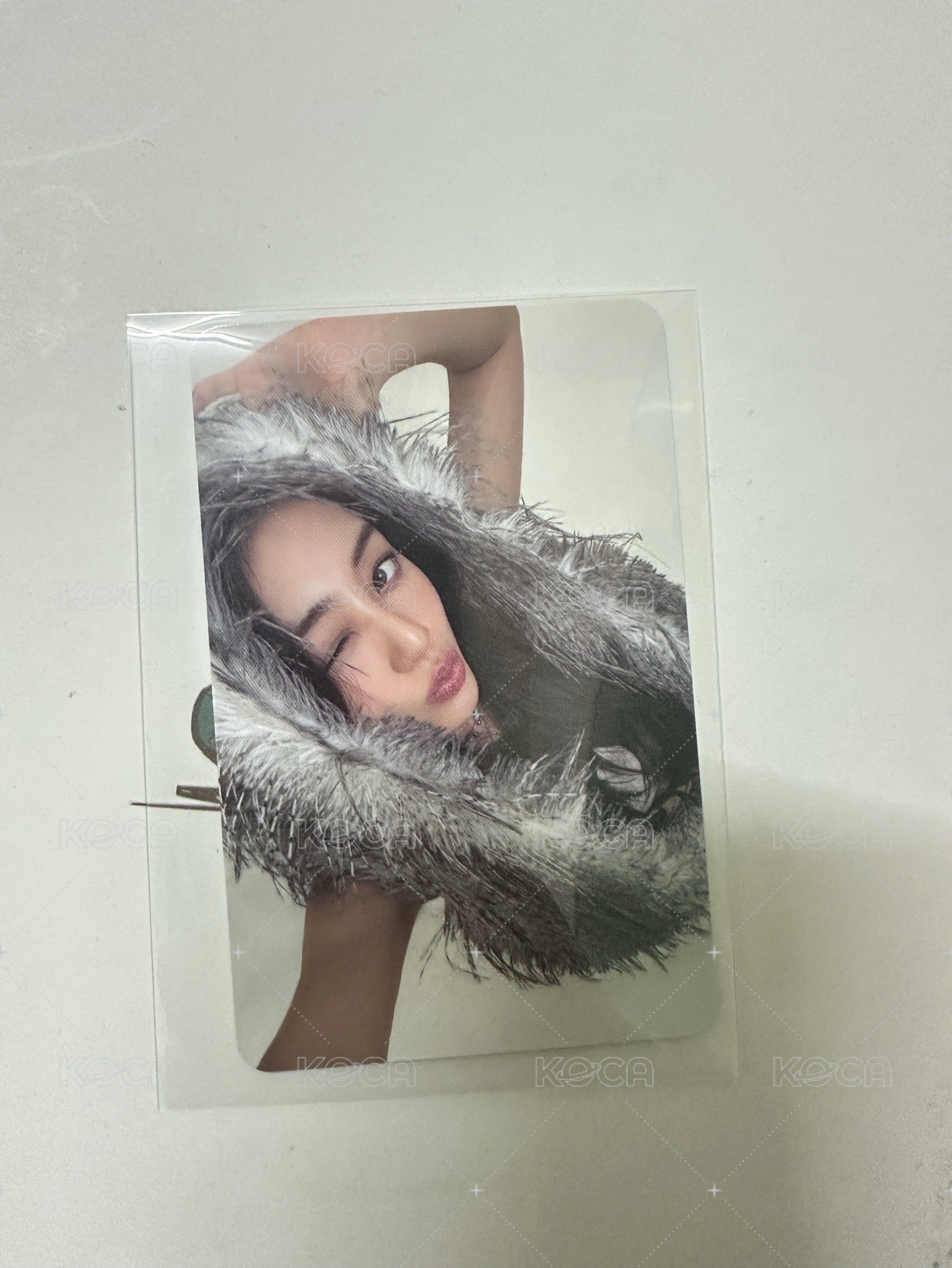 十週年志效