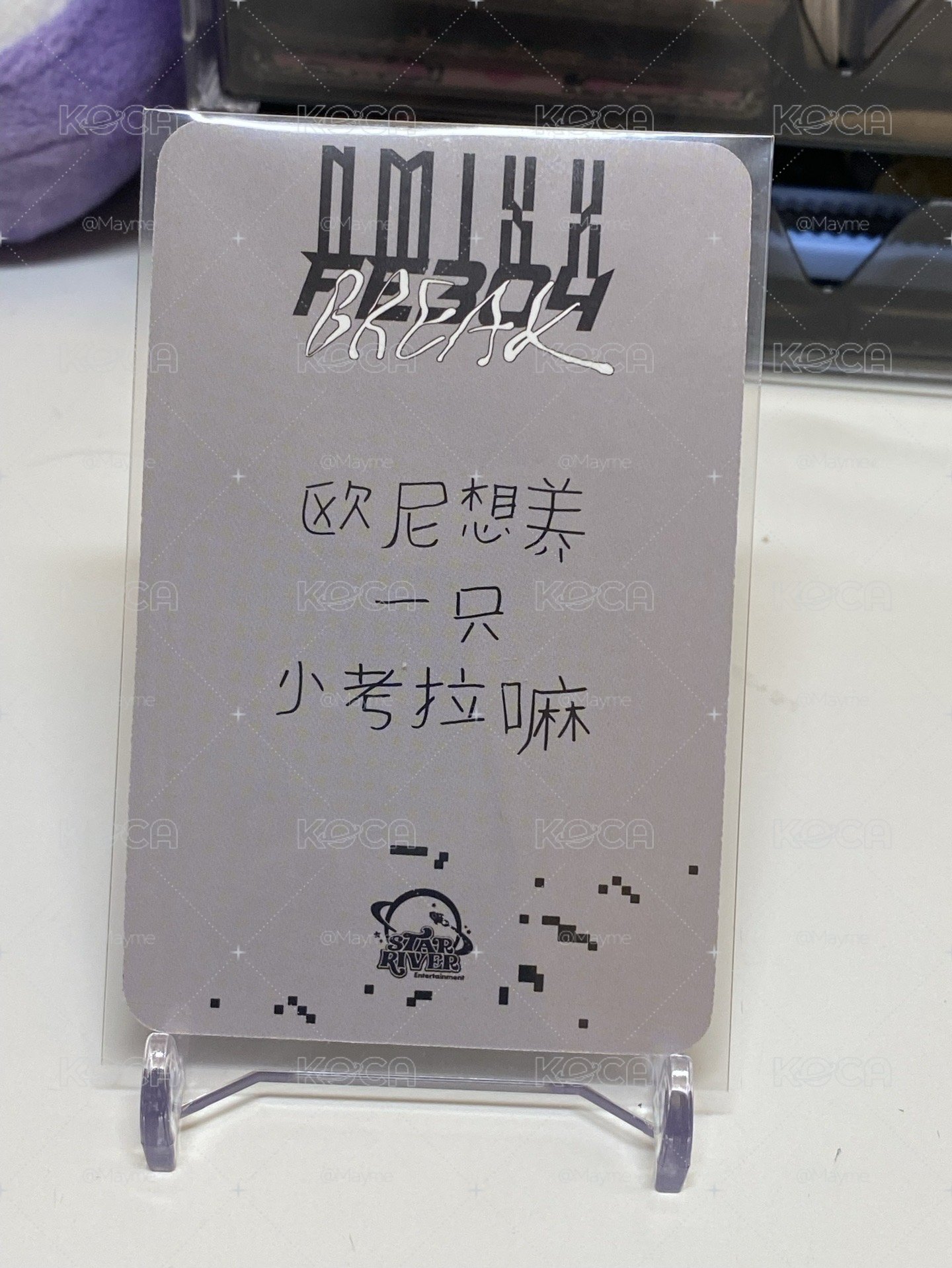 中背小考拉