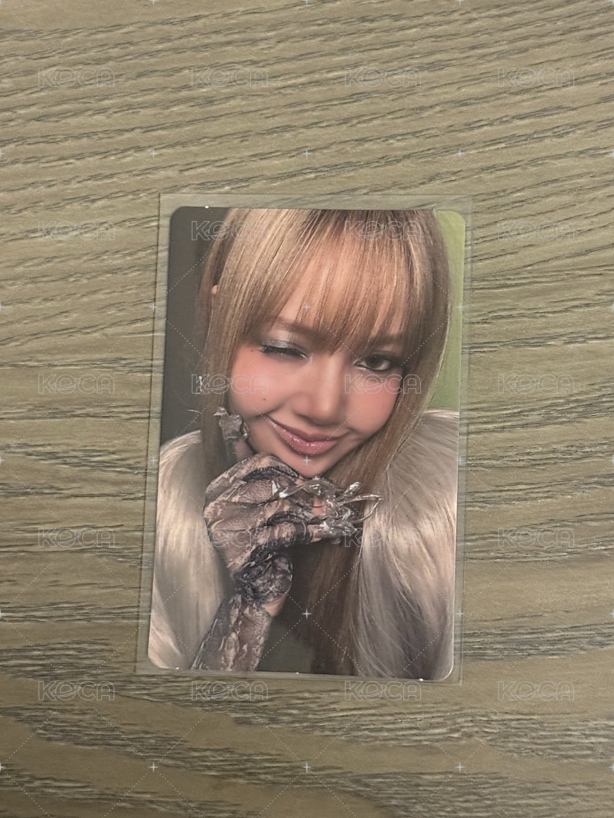 lisa2 