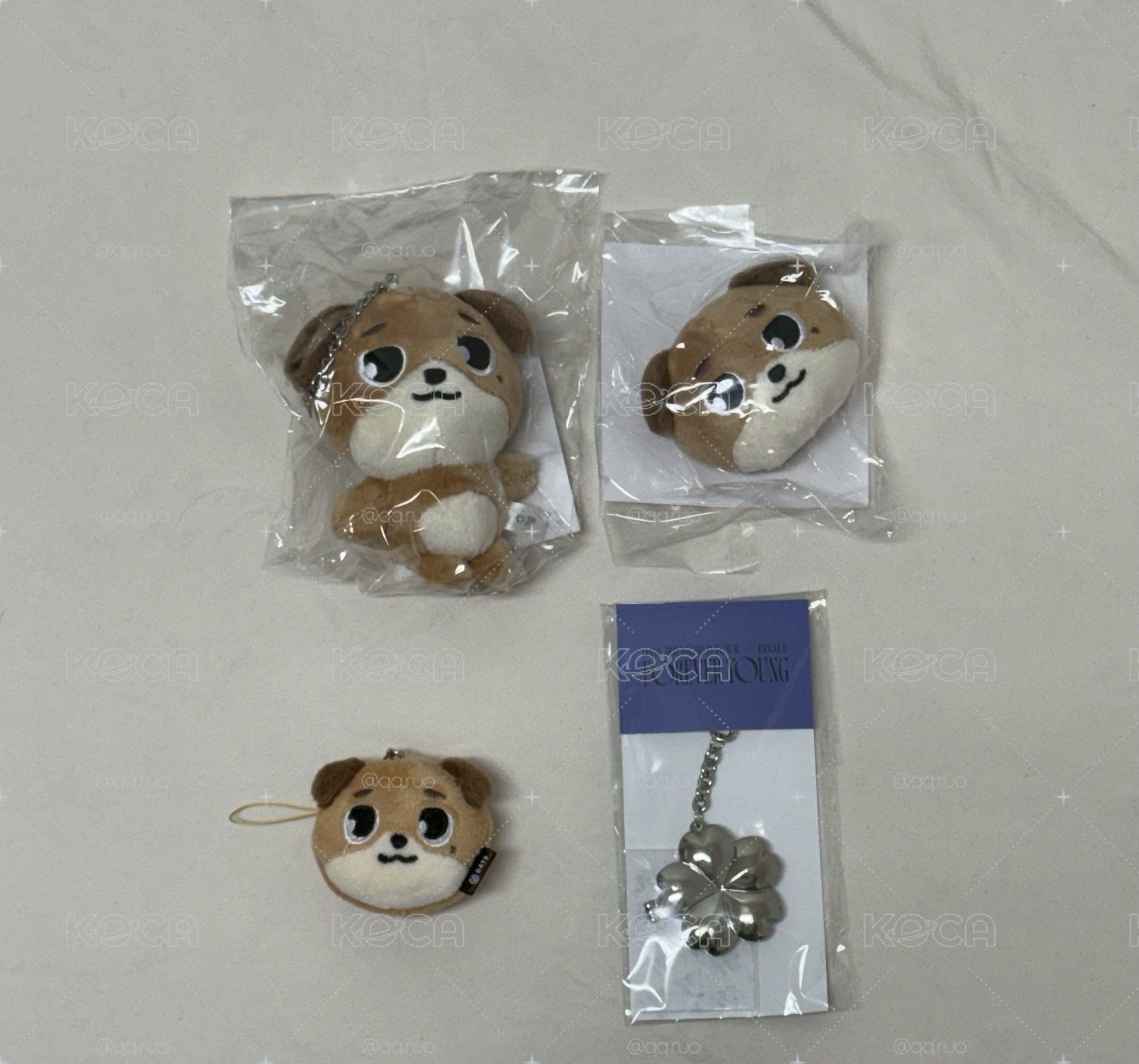 Day6 狗小盤