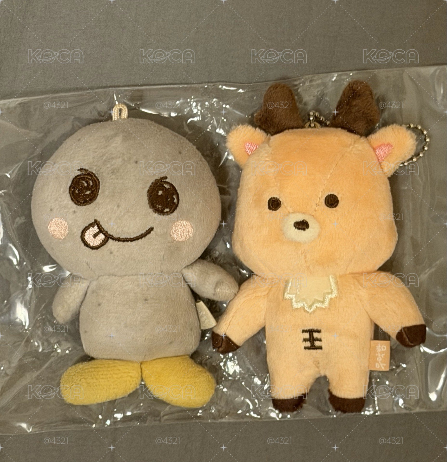 原皮龍石/烏拉鹿