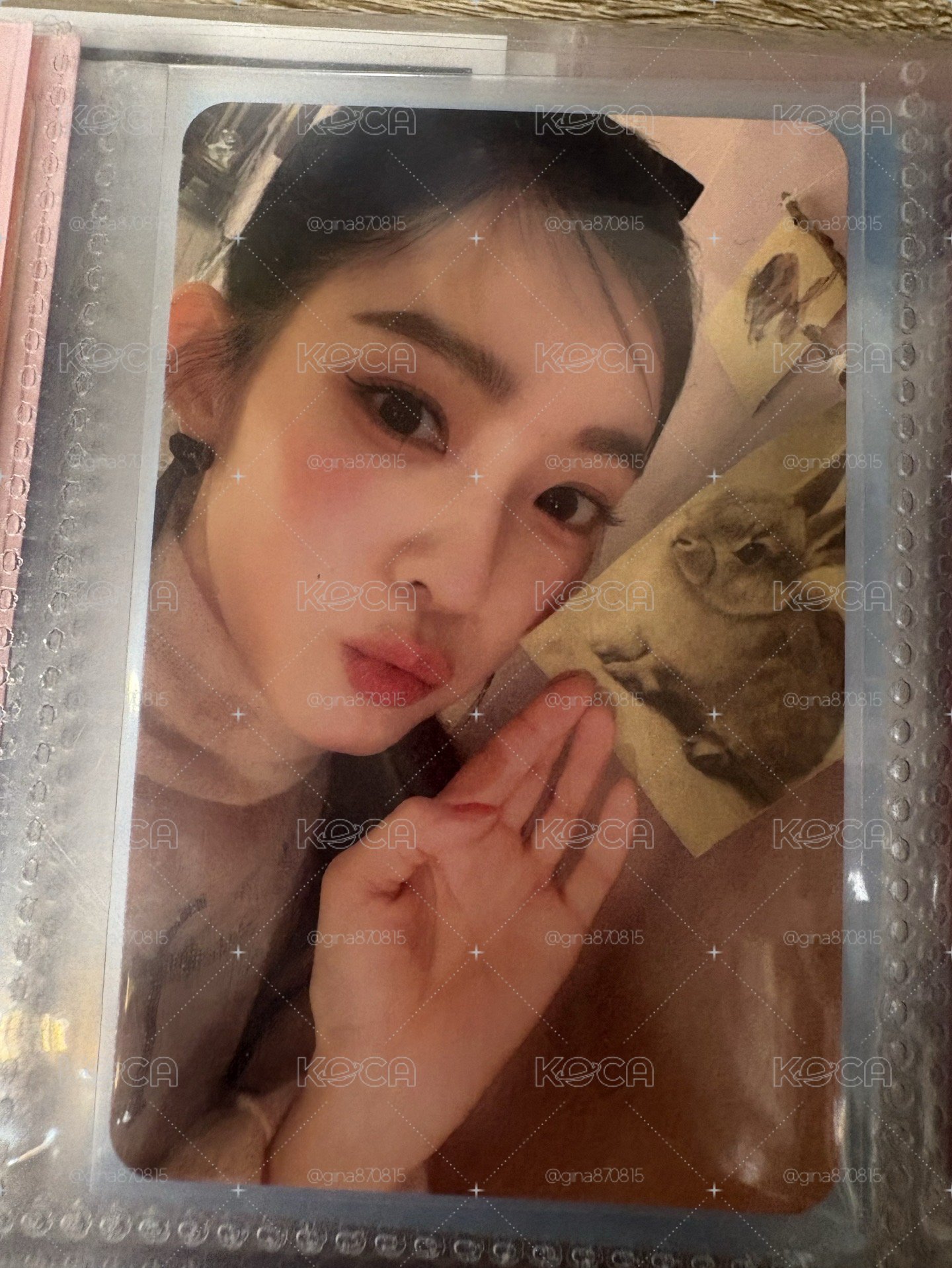 兔子姐