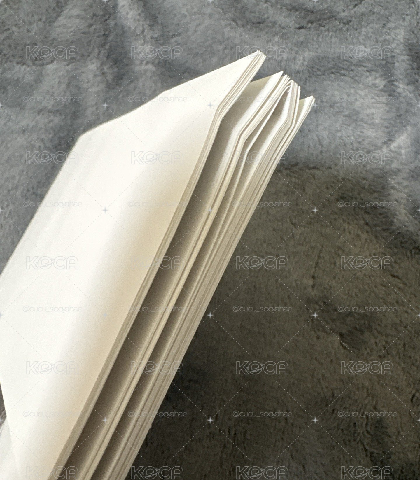 jennie 小寫真書（已拆）