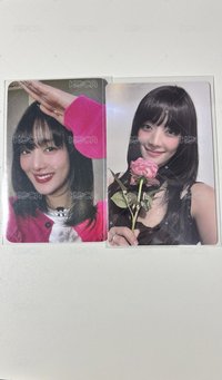 妮全收