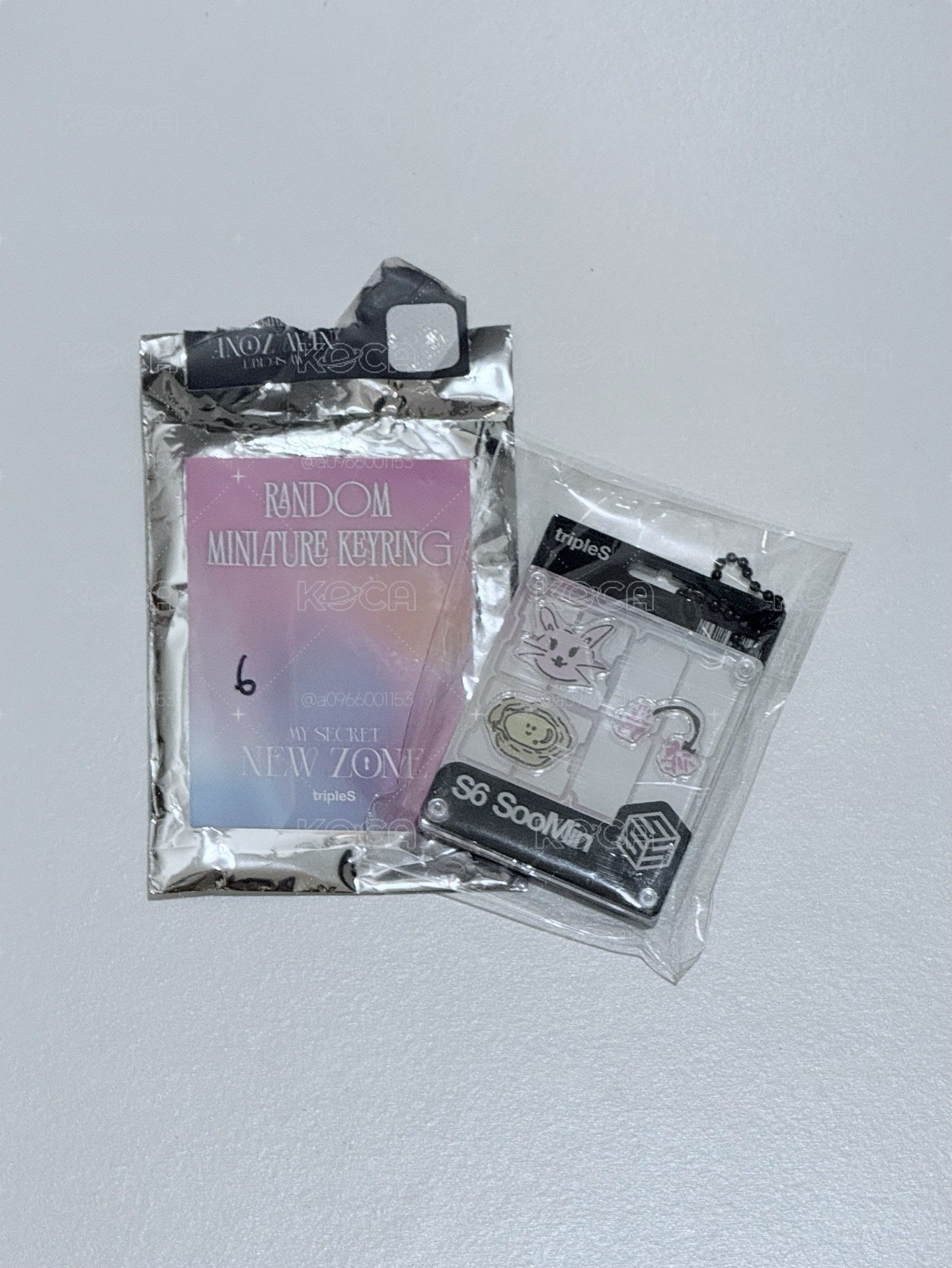 S6 隨機鑰匙圈吊飾 