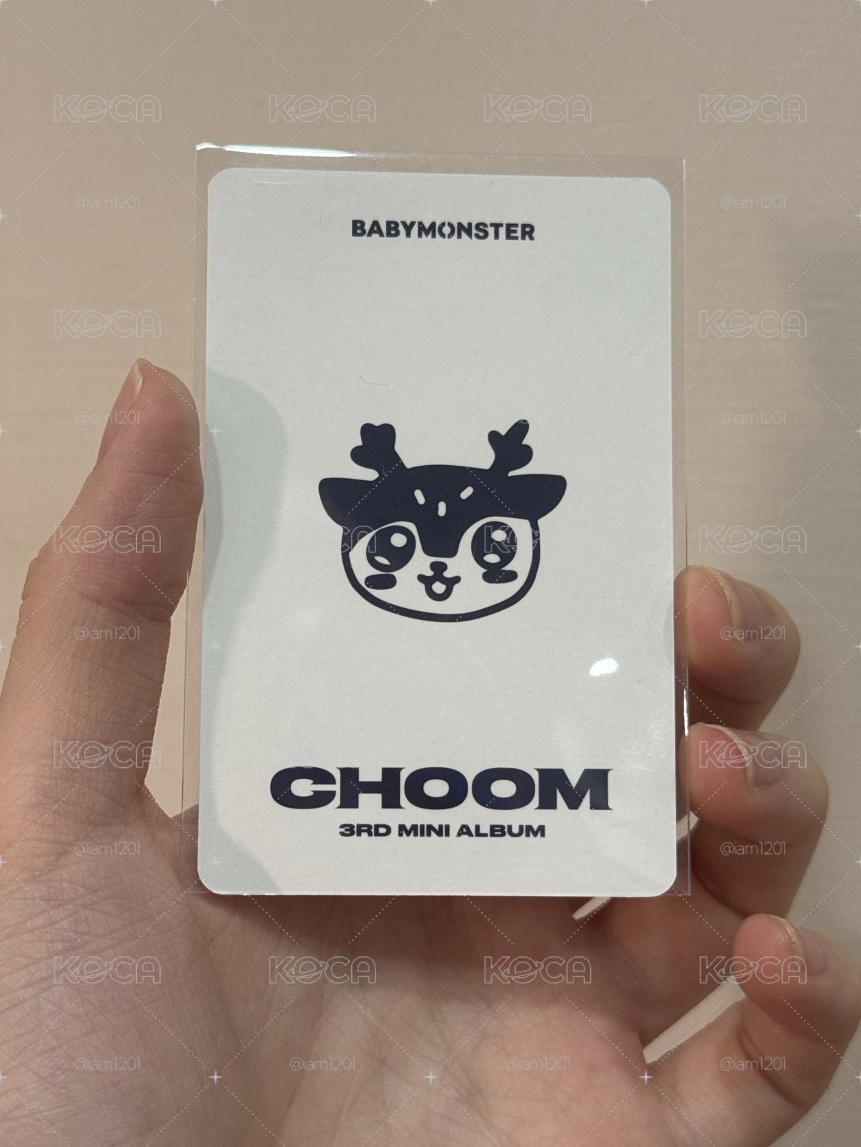 單封預售特典卡-塔🦌