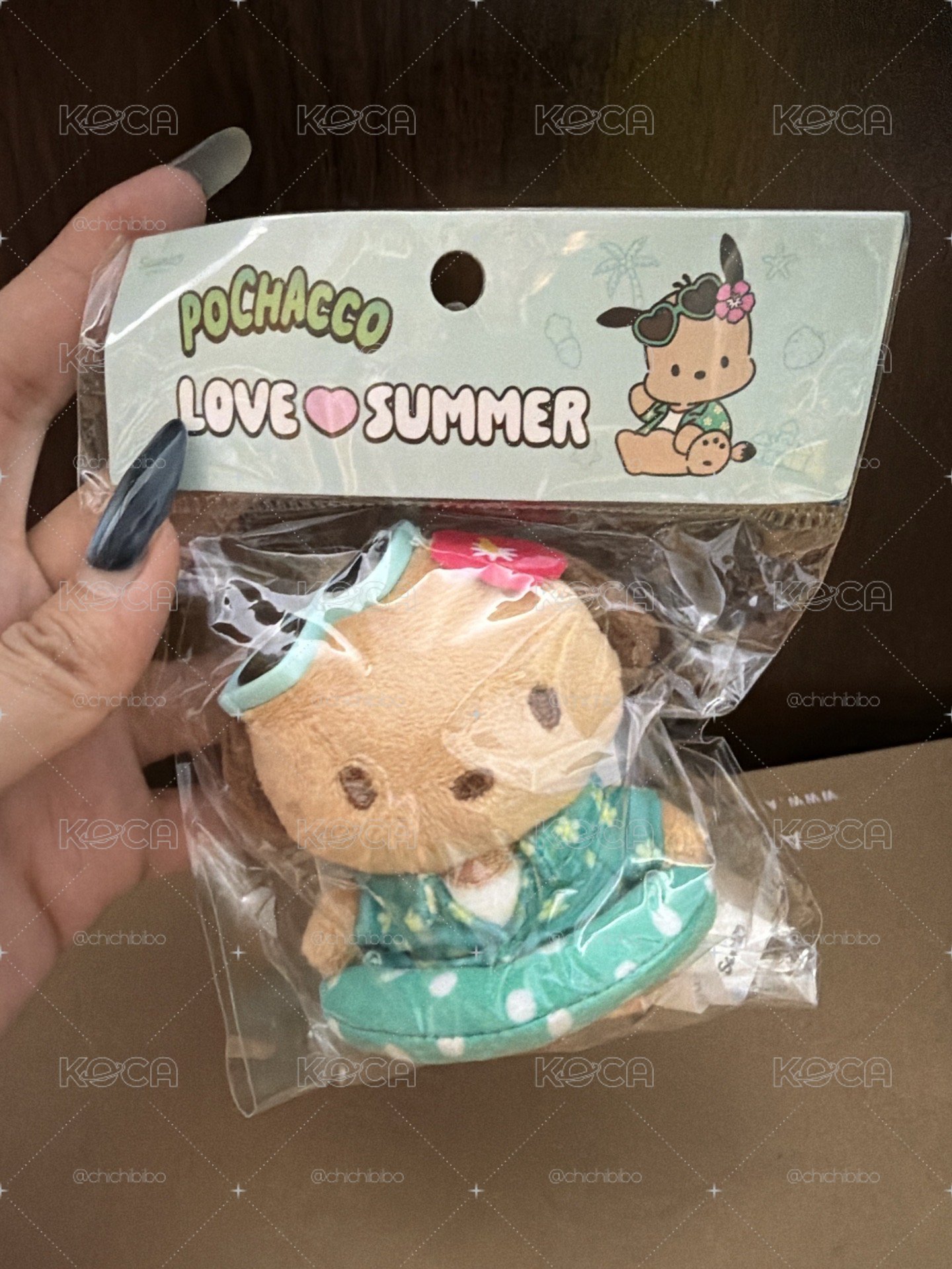 Olive young 黑皮帕恰狗 三麗鷗
