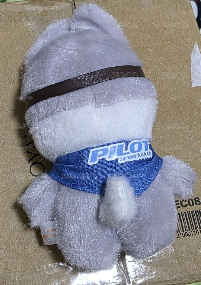 方燦 飛行娃 10cm Pilot 3rd FM