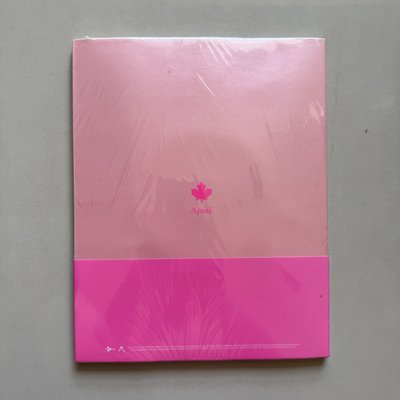 全新未拆 APINK 加拿大寫真