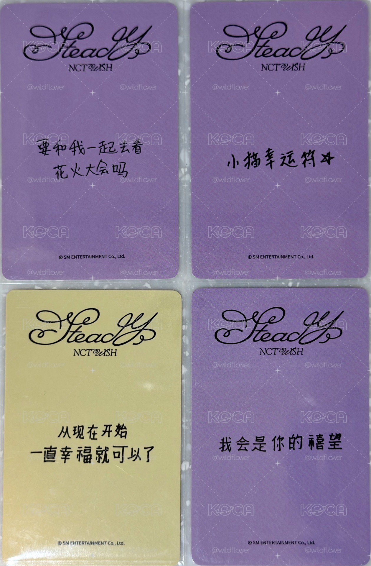 Steady一直娛簽售卡 中文卡背