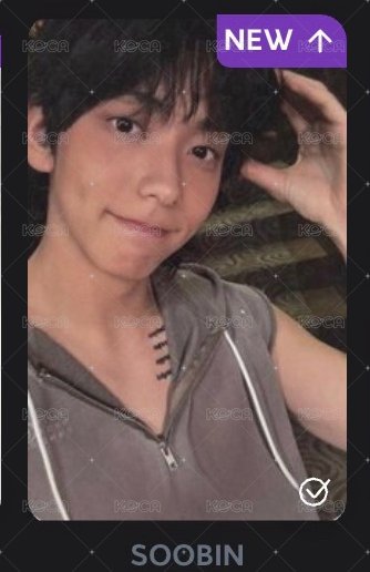 狗狗