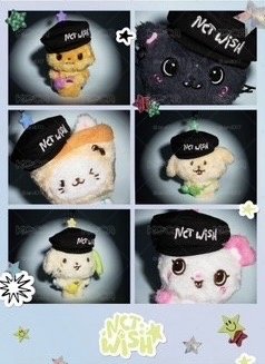 NCT WISH Yushi 一週年 貝雷帽小卡組