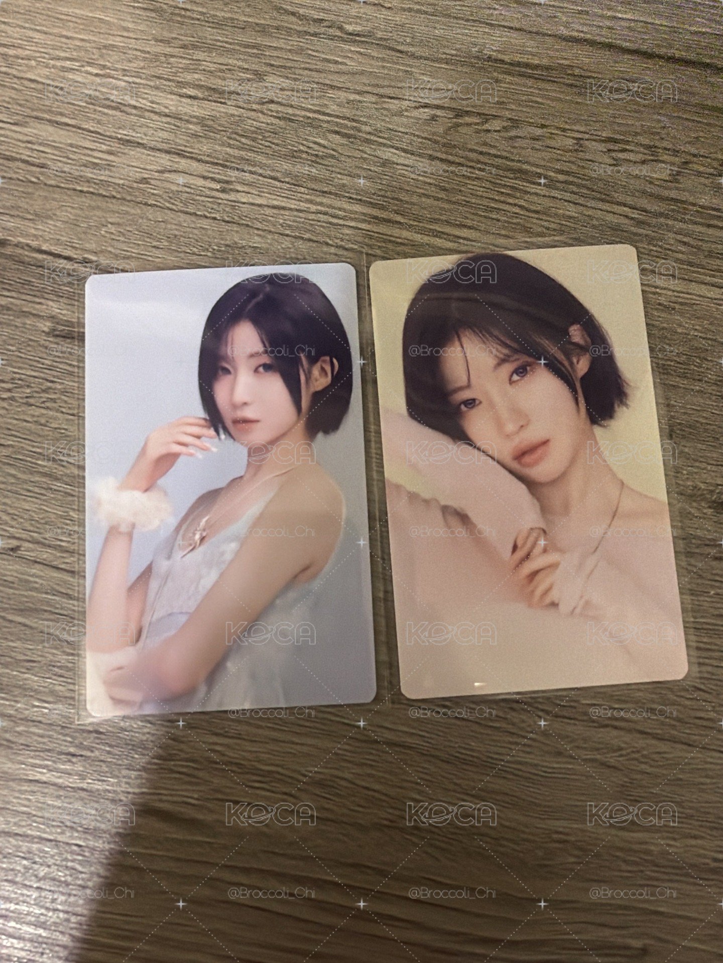  現貨｜SDL卡包 紗紗一組