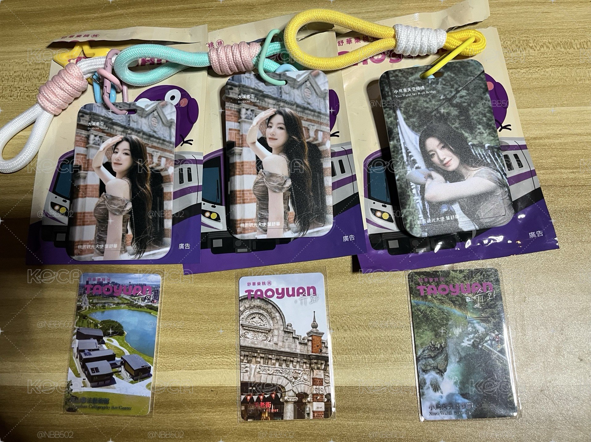 （🏰現貨）舒華 桃園觀光大使 樂桃紀念卡套 
