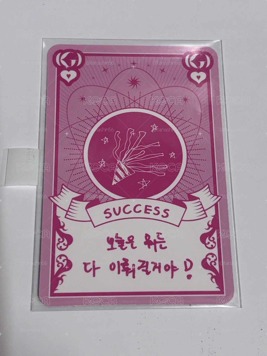 ms3琦 卡背超可愛