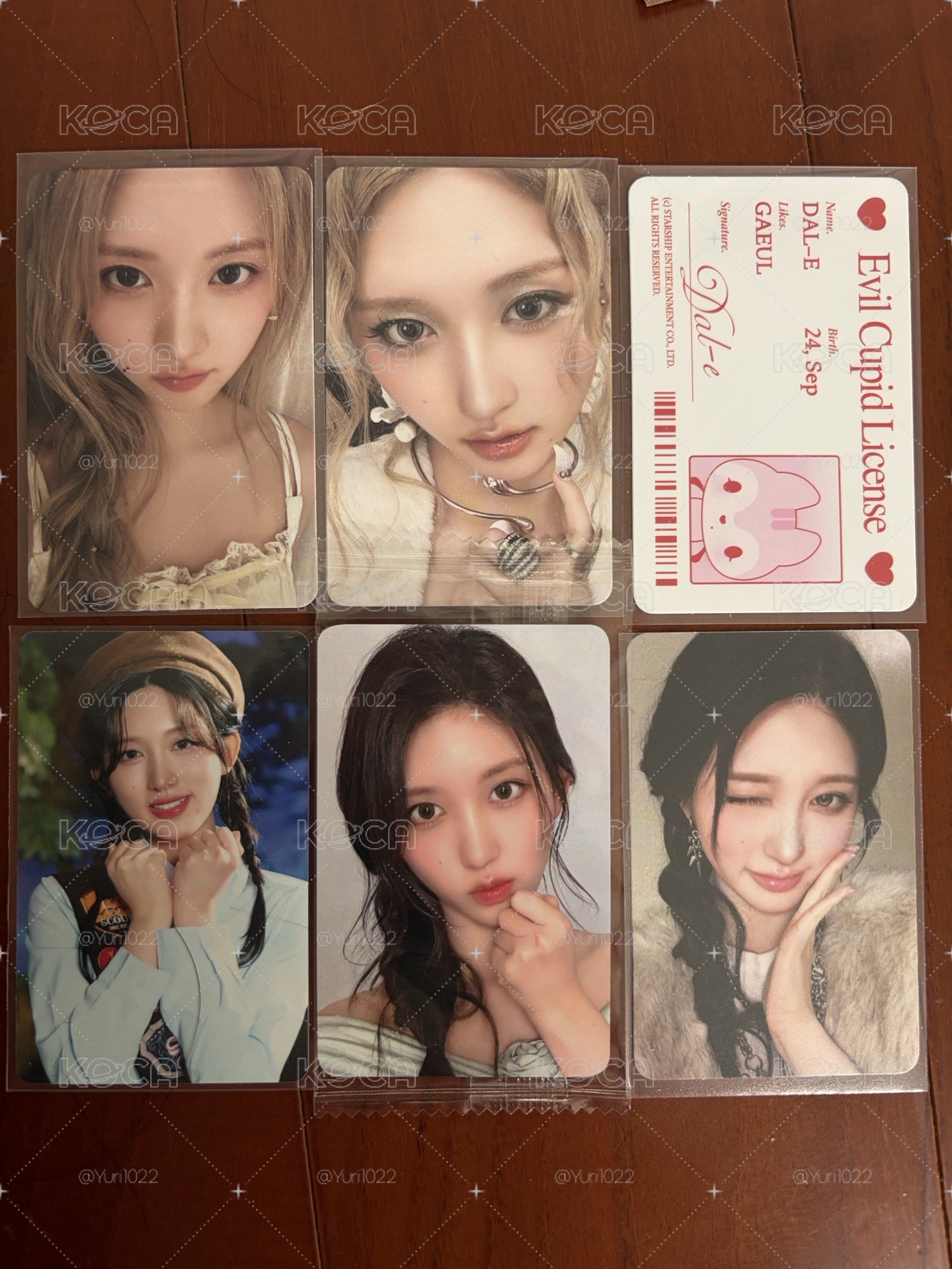 秋小盤 6張