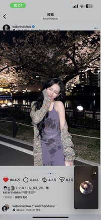 洋芋