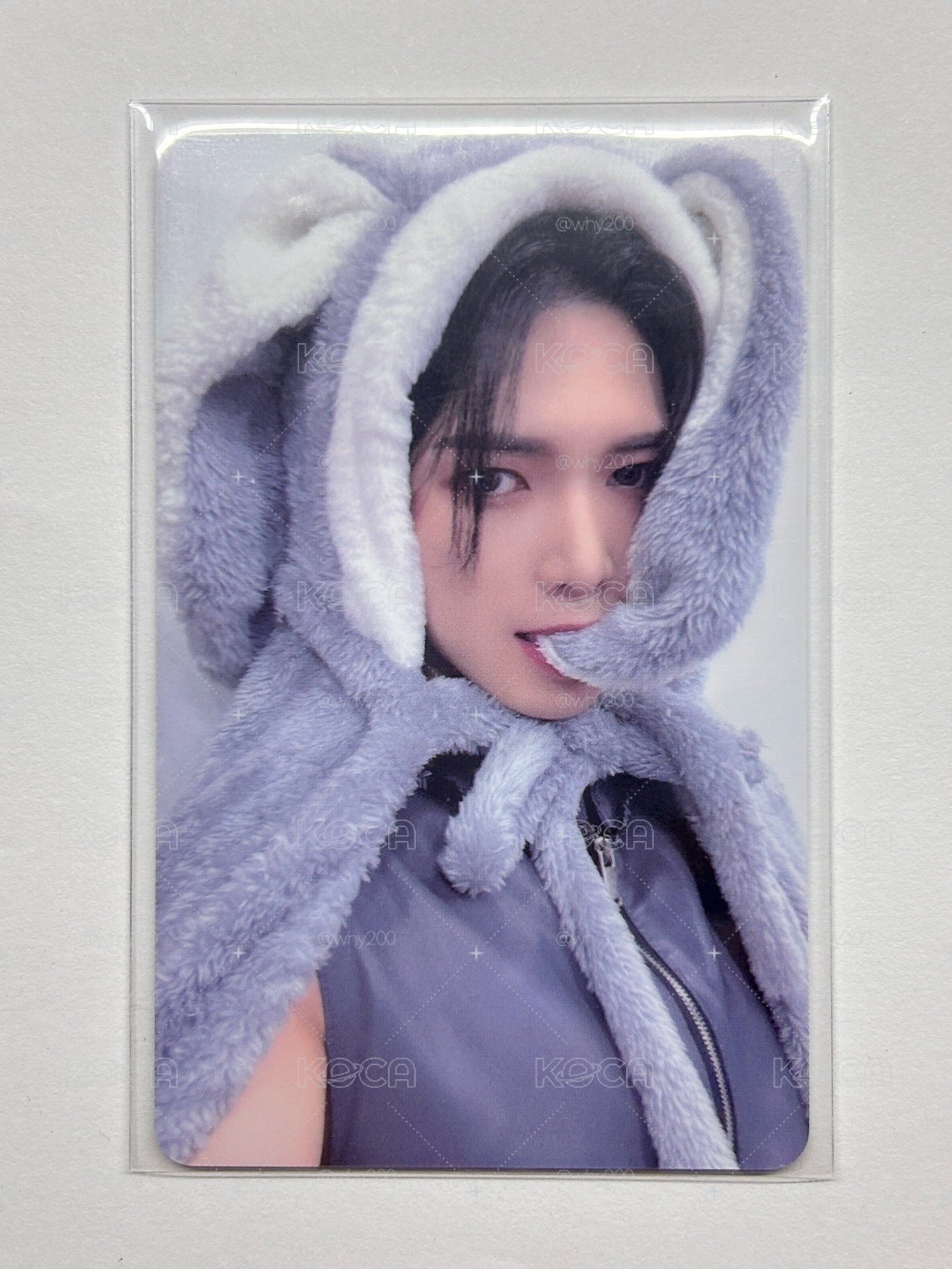 ATEEZ 呂尚 灰兔卡