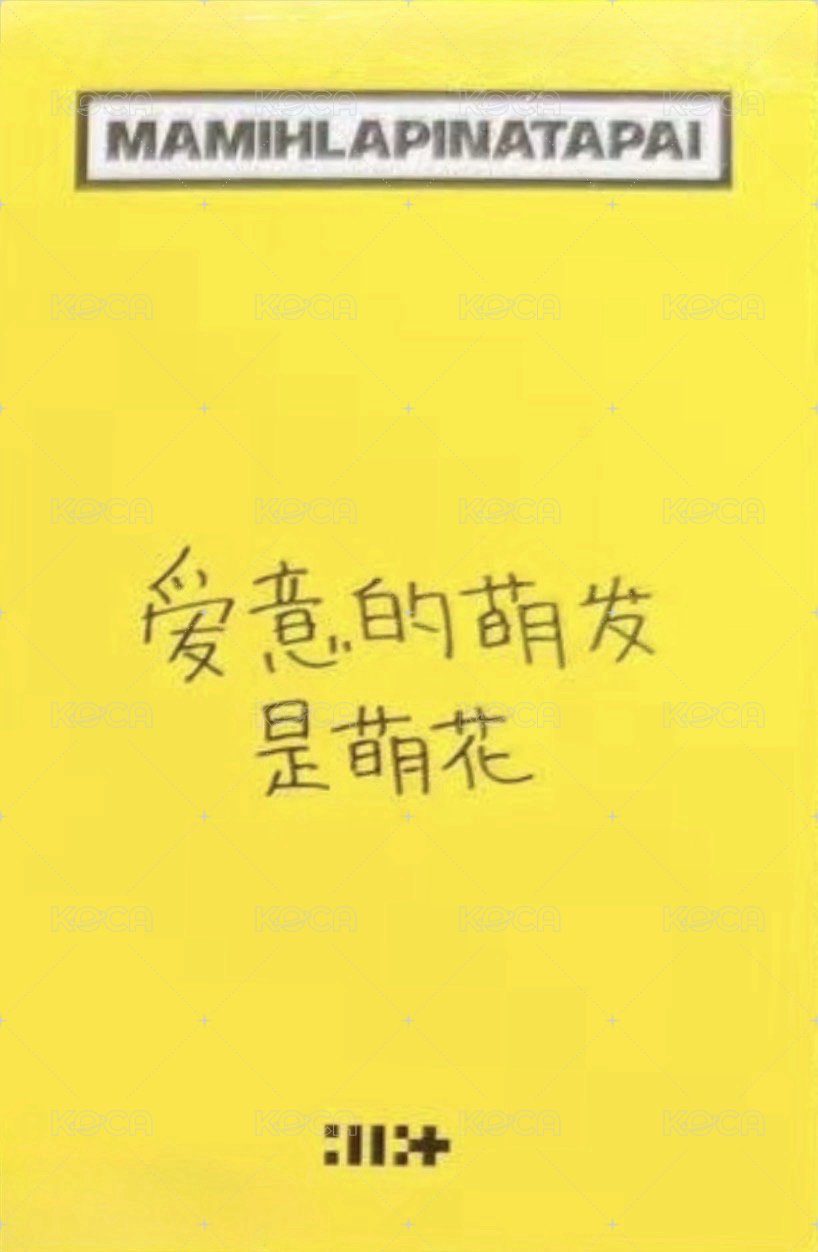 MAMIHLAPINATAPAI yzy 預售2.0 特典卡  背面