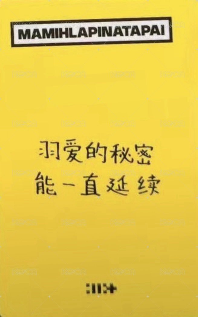 MAMIHLAPINATAPAI yzy 預售2.0 特典卡  背面