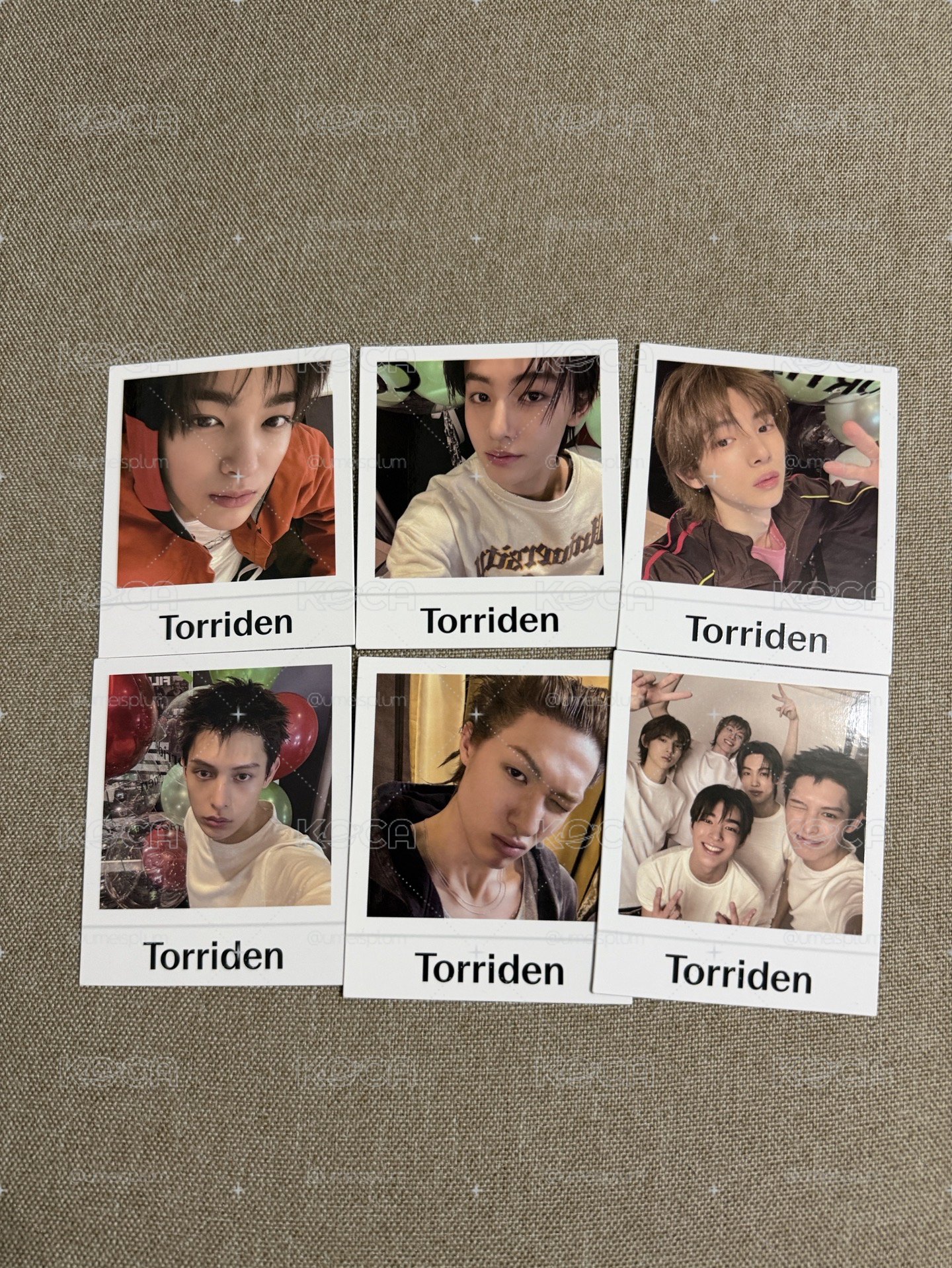 Torriden 拍立得一組不拆
