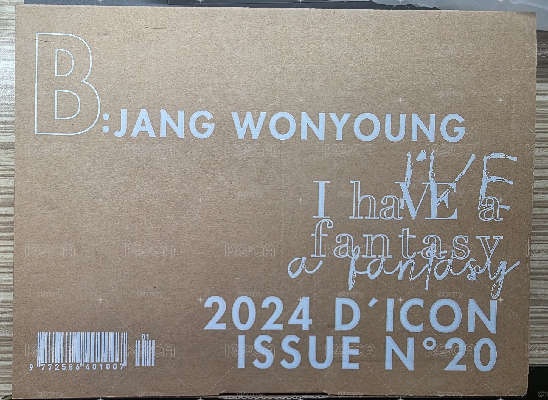 聖誕員+員DICON B版雜誌