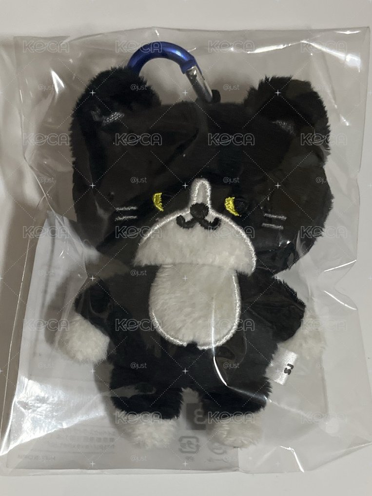 coco貓