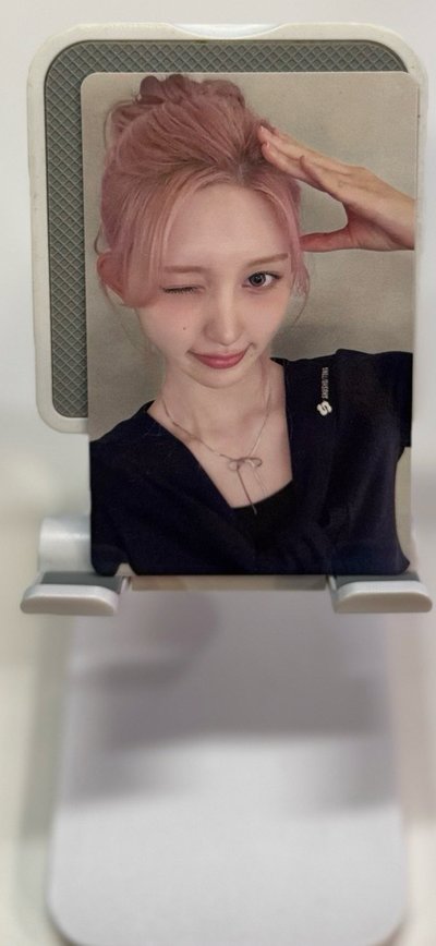 0411 狗耳秋
