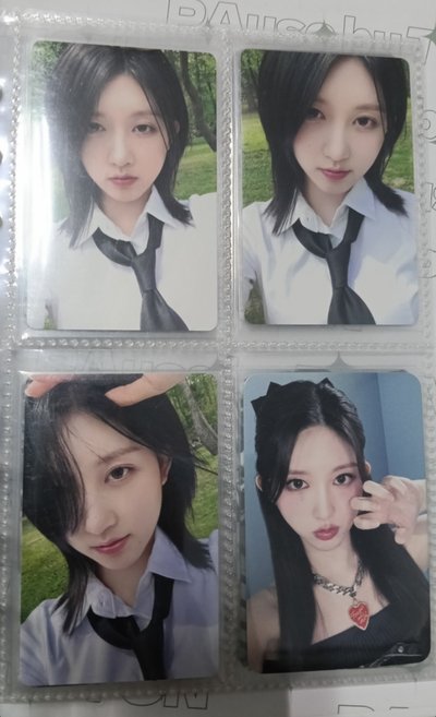 秋小卡