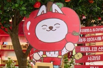 PPULBATU《Hey! APPUL Market》「線下」代購-崔勇猛賣場