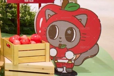 PPULBATU《Hey! APPUL Market》「線下」代購-松喵賣場