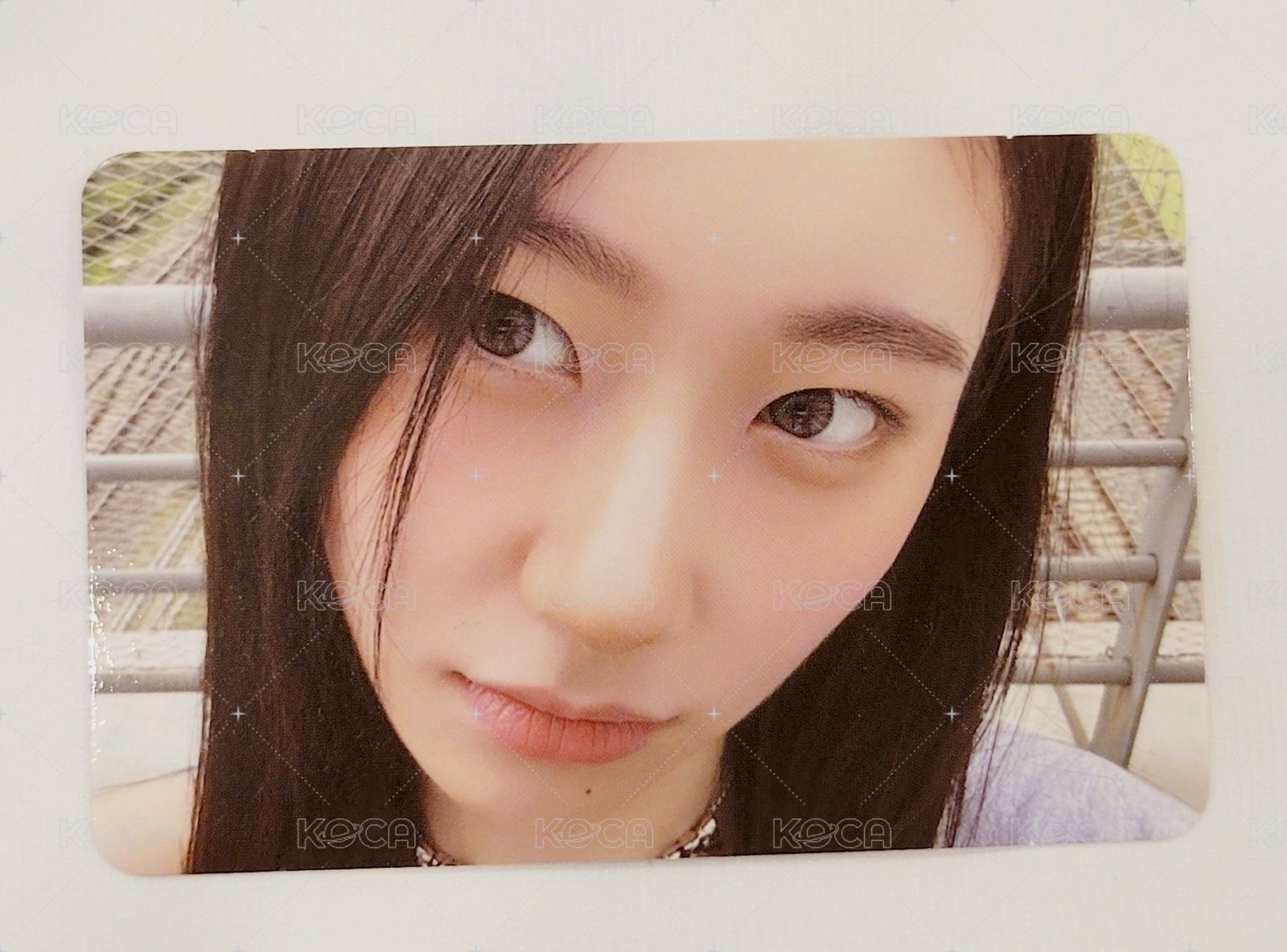 彩領