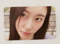 彩領