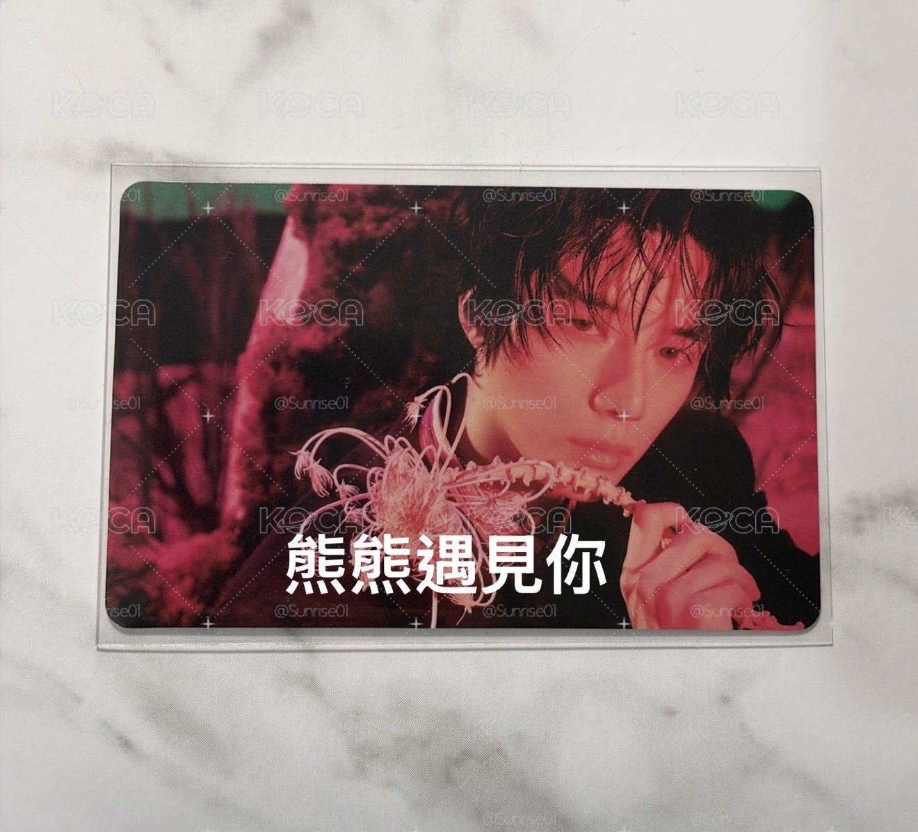崔杋圭 塔店pb特典卡
