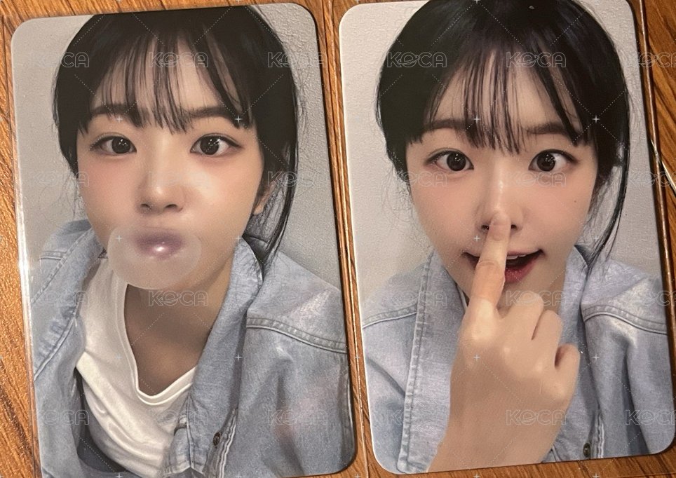 兩張丹特典