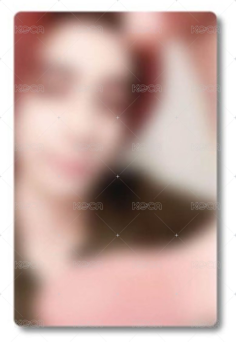 桐儇