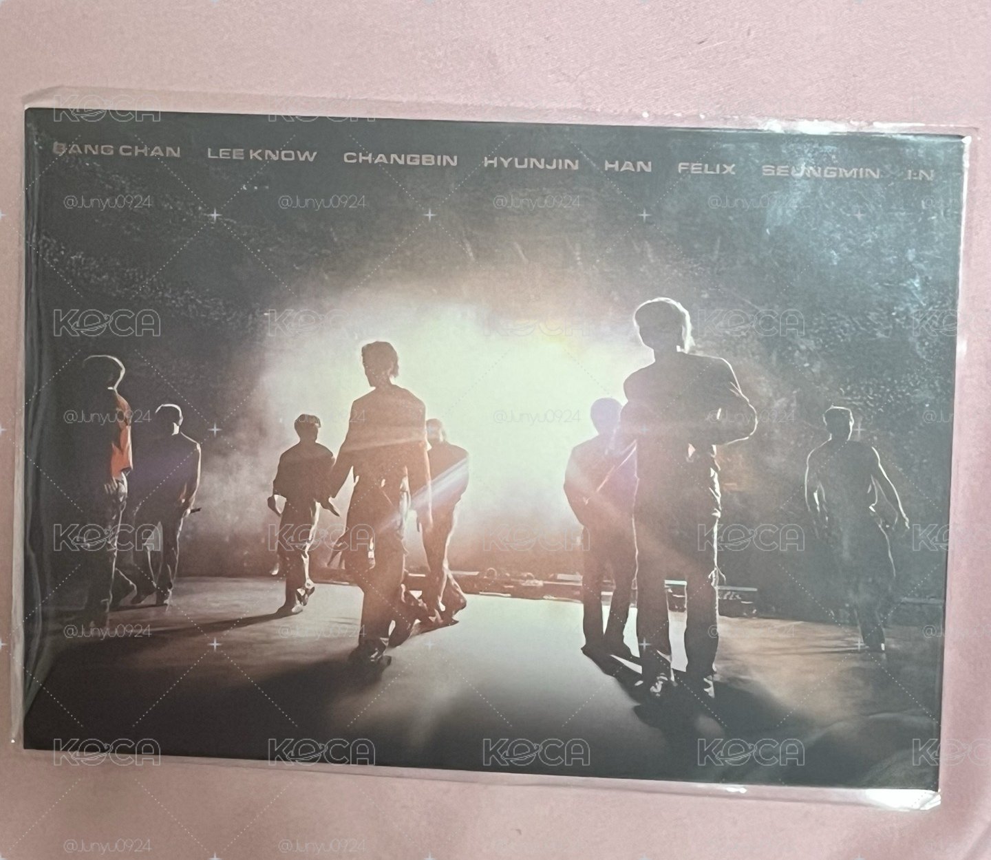 Stray kids