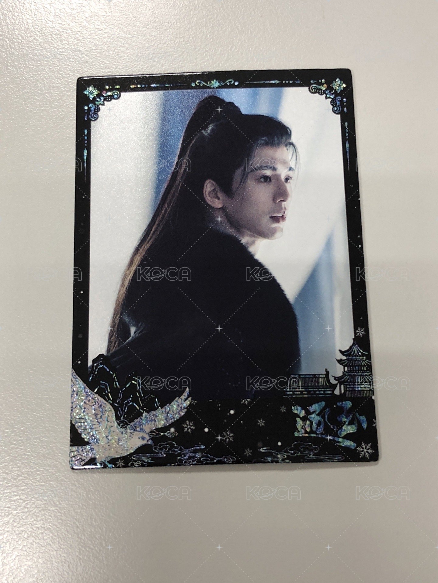 逐羽尋跡02