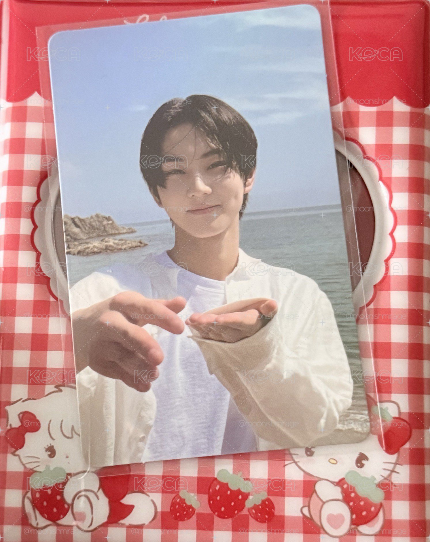 正一專卡 ꒰ 海邊餵你吃的元咪🍚 ꒱
