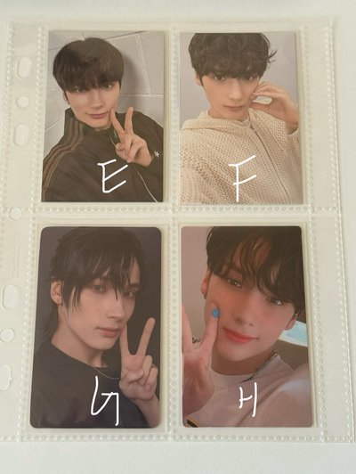 休寧小卡合集🐧🩵