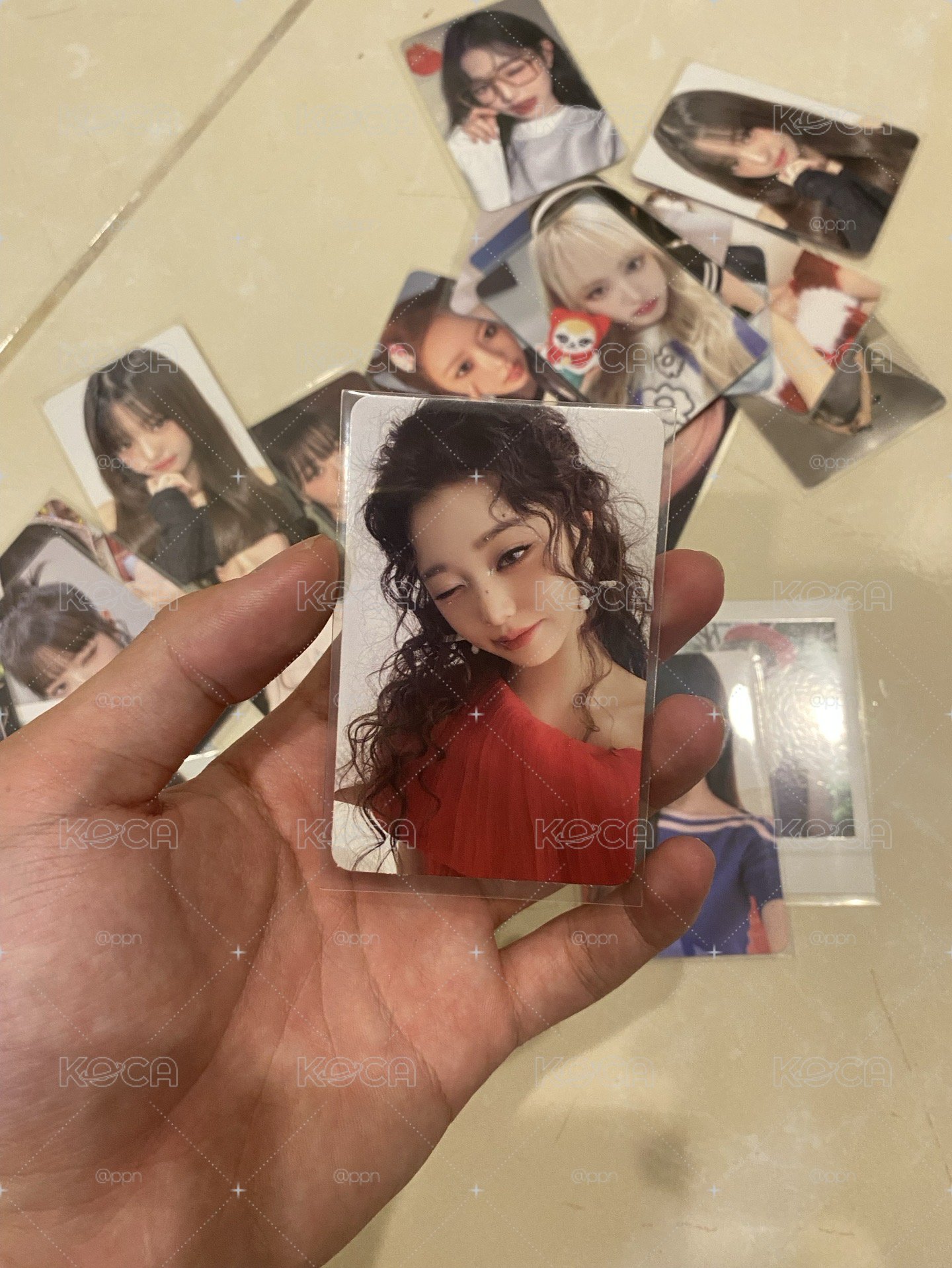 xoxz 專卡