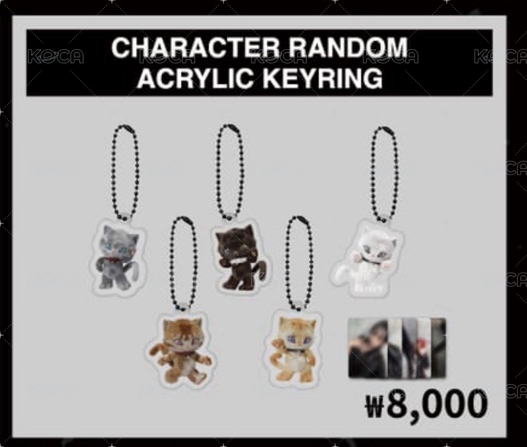 CHARACTER RANDOMACRYLIC KEYRING鑰匙圈