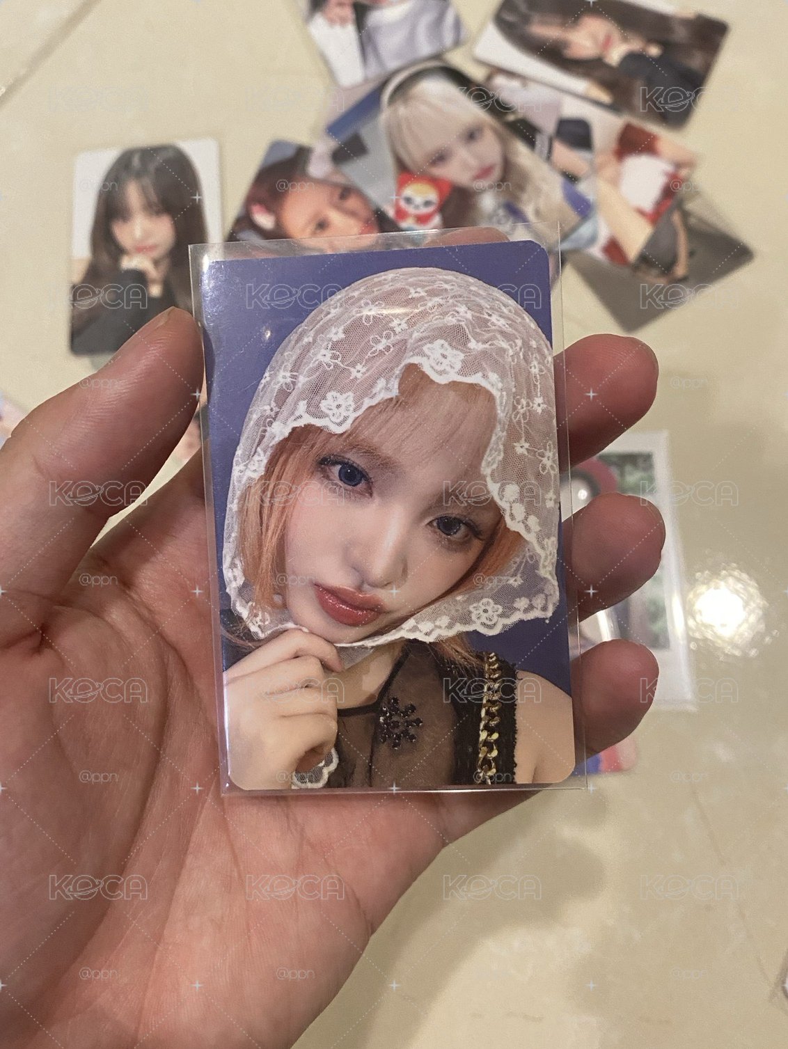 Liz ms簽售卡