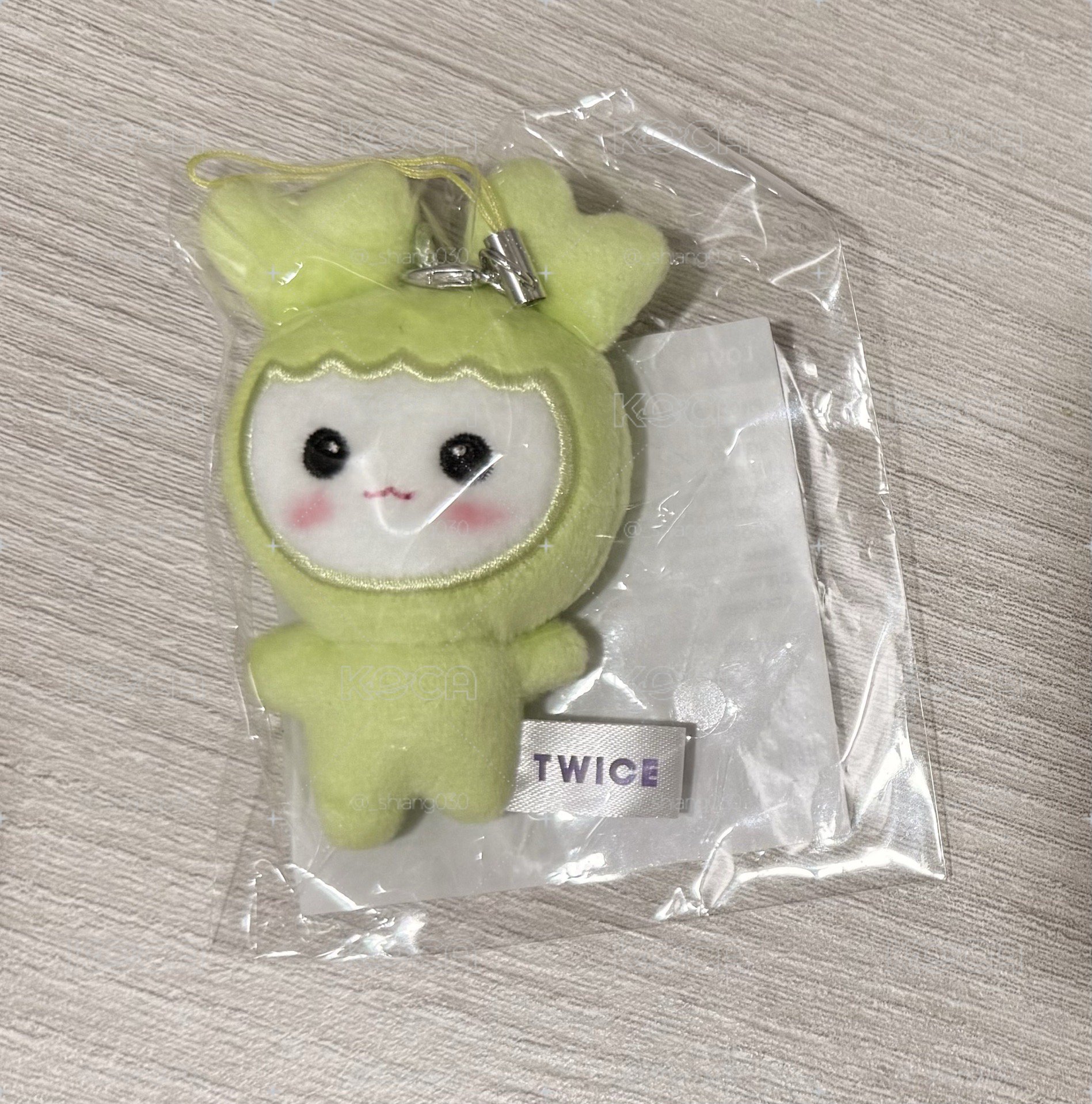 TWICE 豆豆娃