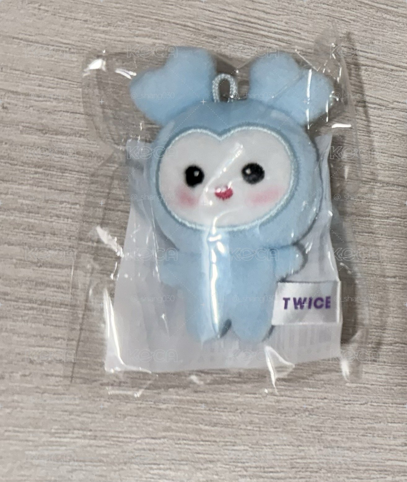 TWICE 豆豆娃