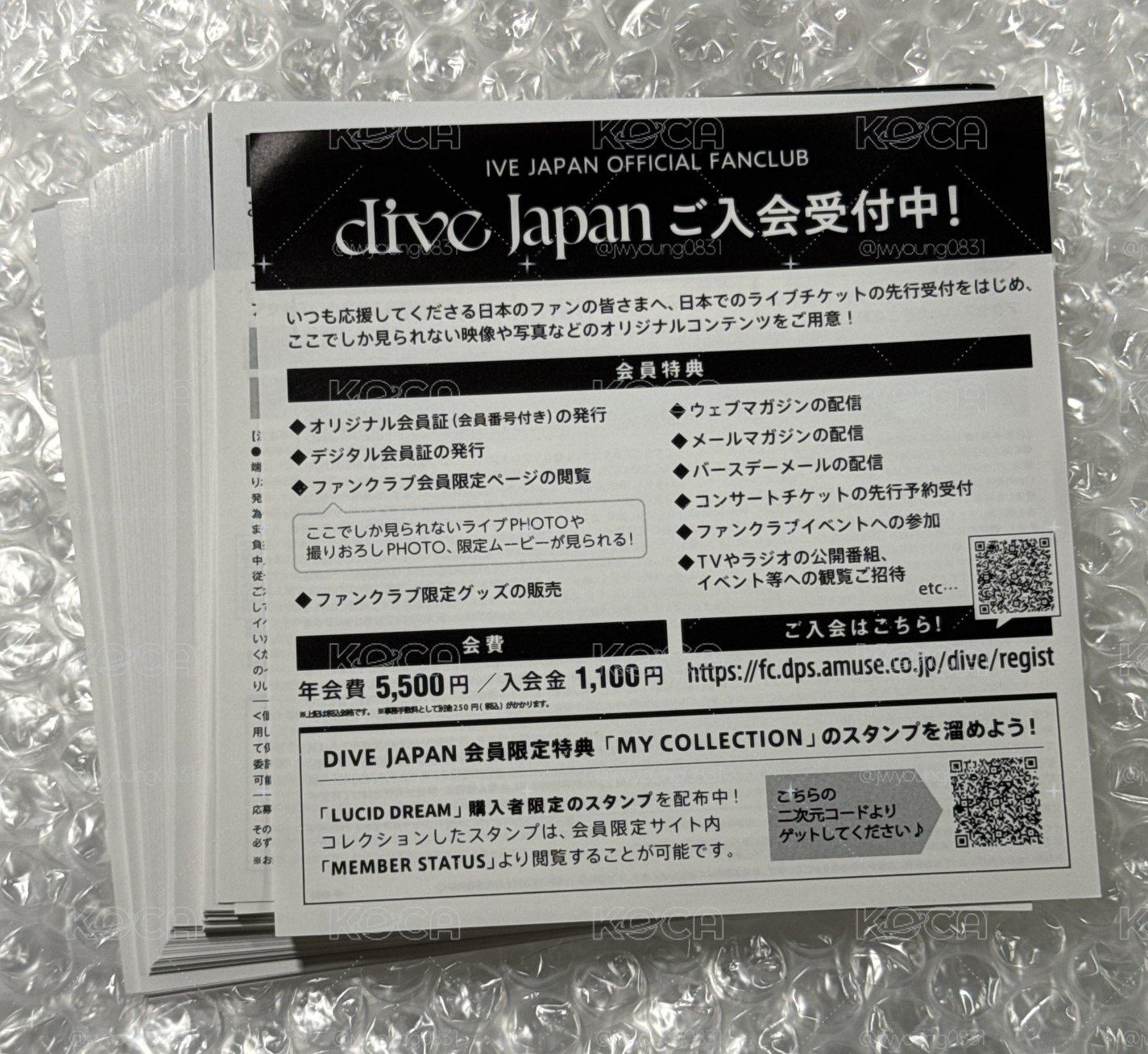 IVE 日專 應募券