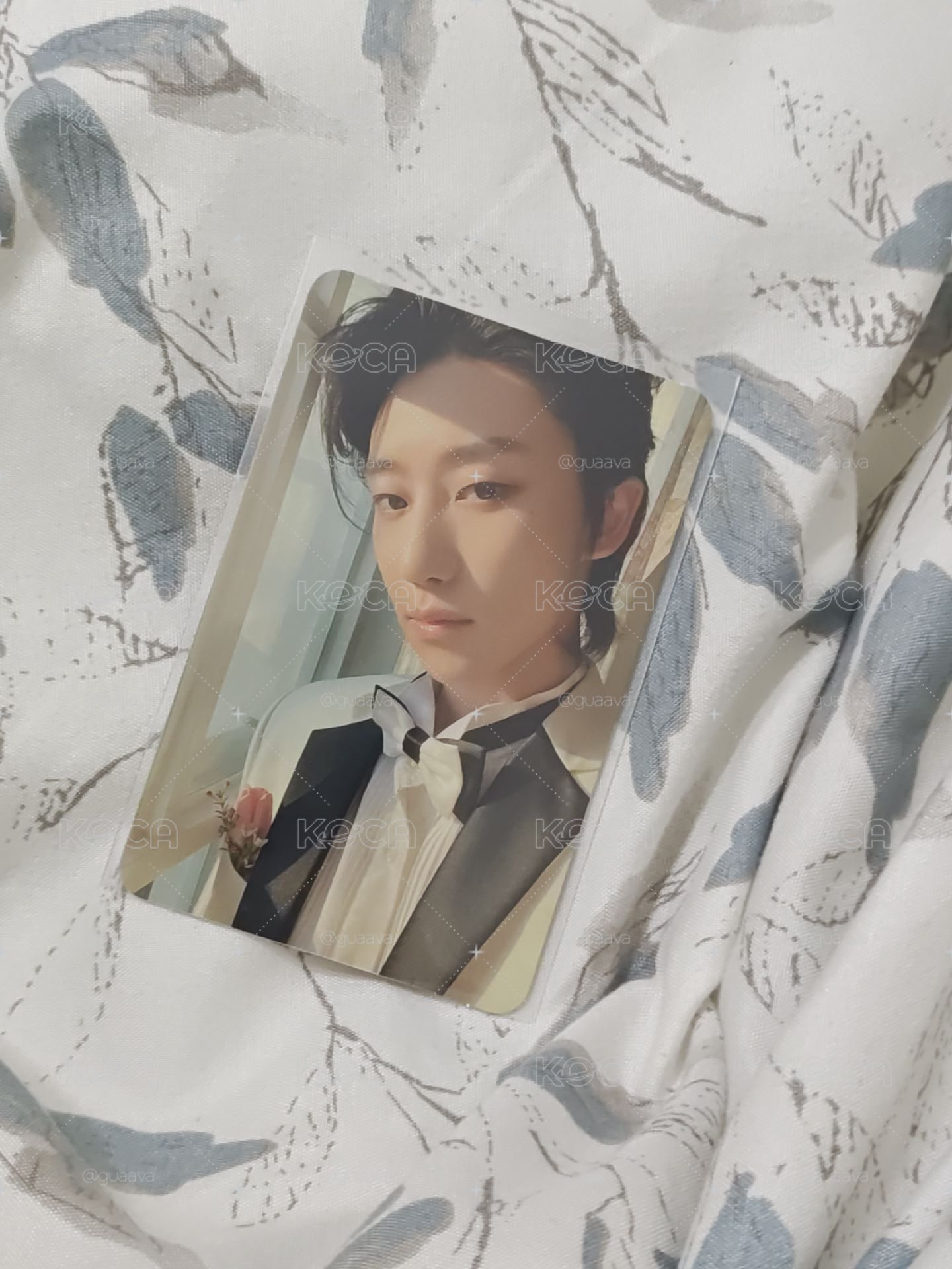 MINI10 專輯卡 CARAT ver.