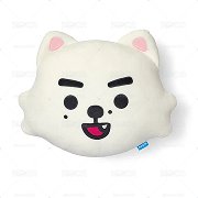 SnoWe抱枕（一販）