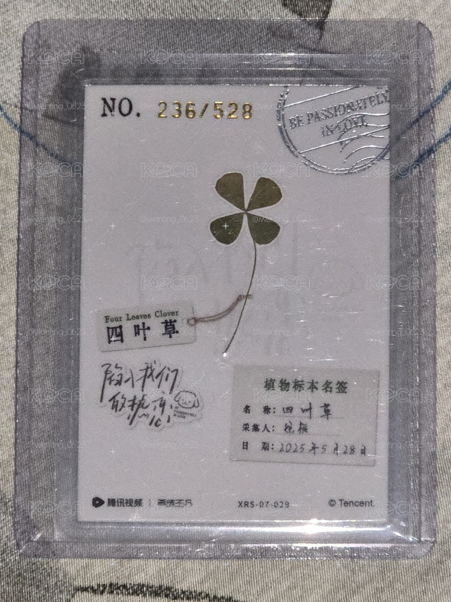 劉浩存熱戀過塑236/528編卡