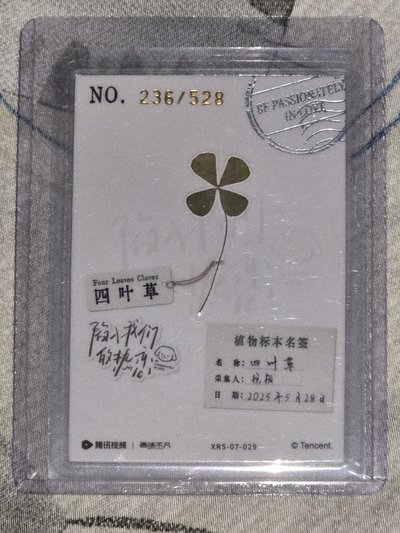 劉浩存熱戀過塑236/528編卡